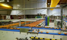 Des brioches sur une ligne de production de l'usine Harrys à Montierchaume, le 29 avril 2025 dans l'Indre ( AFP / GUILLAUME SOUVANT )