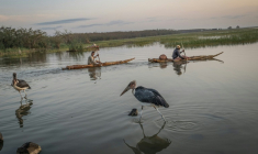 Des pêcheurs partent à l'aube à bord de pirogues traditionnelles sur le lac Dembel, l'un des lacs de la vallée du Rift central en Éthiopie, longtemps touché par la surexploitation et la pollution, le 20 mai 2025 à Batu  ( AFP / Marco Simoncelli )