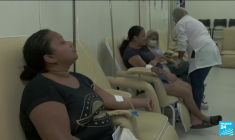 Brésil: explosion des cas de dengue en attendant la vaccination