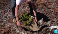 Saviez-vous que vos mèches coupées sauvent les océans et les forêts ?