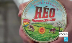 Camembert :  La guerre des étiquettes