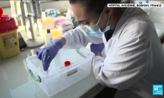 France : fermetures d'écoles et gouvernement sous pression face aux punaises de lit