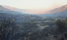 Crète: un incendie de forêt fait rage sur l'île grecque