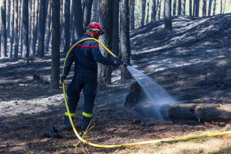 Des pompiers en intervention contre un incendie à Dannes (Pas-de-Calais), le 13 août 2026  ( POOL / PASCAL BONNIERE )