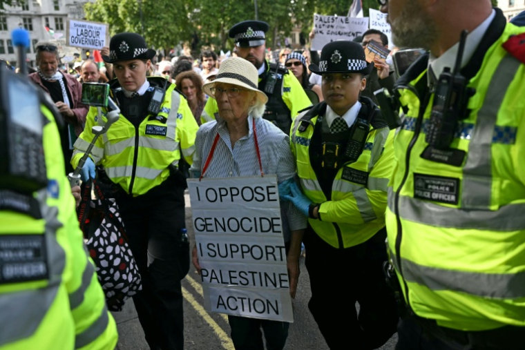 Un manifestant arrêté lors d'un rassemblement de soutien au groupe Palestine Action à Londres le 6 septembre 2025 ( AFP / JUSTIN TALLIS )