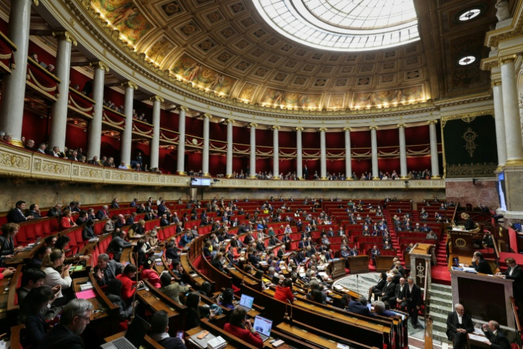 L'hémicycle de l'Assemblée nationale le 2 décembre 2025 ( AFP / Thomas SAMSON )