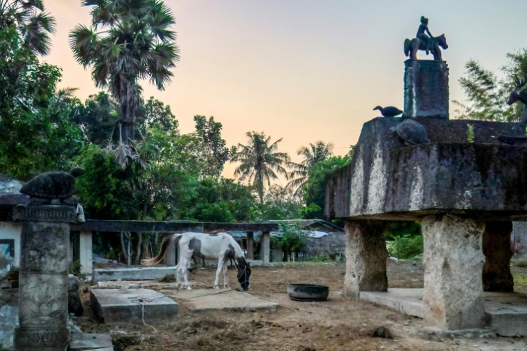 Un tombeau traditionnel au village de Prailiu à Waingapu, sur l'île de Sumba, le 25 juin 2026 en Indonésie ( AFP / BAY ISMOYO )