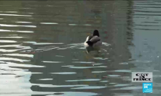 Santé mentale et Covid-19 : comment affronter la 3e vague psychiatrique ?