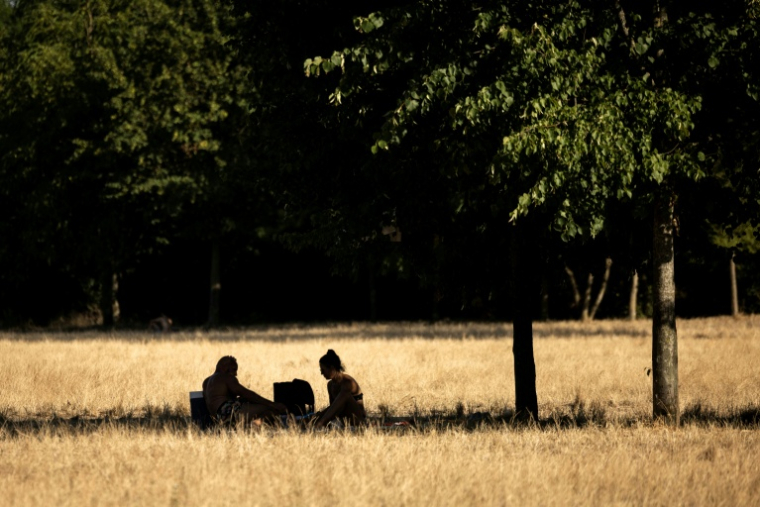 Un couple s'abrite sous un arbre pour pique-niquer au parc de Vincennes, le 11 juillet 2026 à Paris   ( AFP / Behrouz MEHRI )
