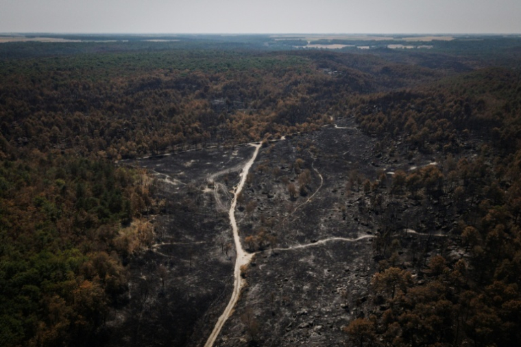 Vue aérienne d'une zone touchée par un incendie dans la forêt de Fontainebleau, à Noisy-sur-École, en Île-de-France, le 30 juillet 2026 ( AFP / Simon WOHLFAHRT )
