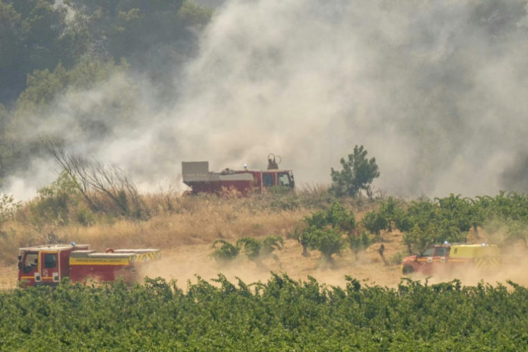 Des véhicules de pompiers en action dans un zone boisée à Saint-Laurent-de-Cabrisse (Aude), le 7 juillet 2025 ( AFP / Idriss Bigou-Gilles )