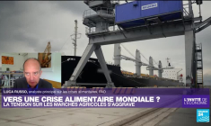 Luca Russo, analyste à la FAO : "On risque d'avoir des famines"