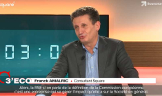 La contribution de l'entreprise à la transition écologique comme nouvelle norme de RSE