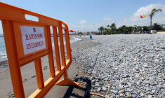 Les cyanobactéries pourraient proliférer dans les zones de baignades prisées des Français avec la canicule ( AFP / Valery HACHE )