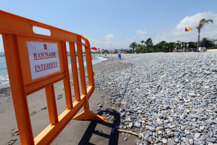 Les cyanobactéries pourraient proliférer dans les zones de baignades prisées des Français avec la canicule ( AFP / Valery HACHE )
