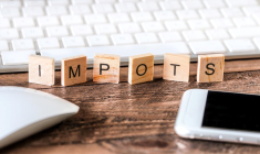 Quel bilan tirer de l'impôt sur le revenu depuis 2017 ? Le CPO apporte des éléments de réponse. ( Crédits photo: Shutterstock)