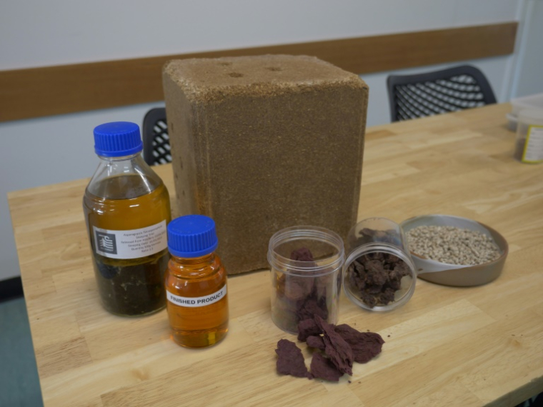 Des échantillons de produits à base d'algues au siège de Sea Forest à Triabunna, le 26 mars 2025 en Tasmanie ( AFP / Gregory PLESSE )