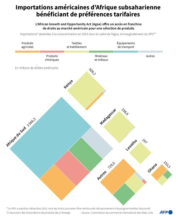 Graphique présentant les importations américaines en 2023 dans le cadre du programme de préférences tarifaires African Growth and Opportunity Act (Agoa), qui expirera en septembre sauf si le président Donald Trump accepte de le prolonger ( AFP / Lise KIENNEMANN )