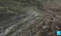 Politique migratoire américaine : Kamala Harris veut "donner de l'espoir" au Guatemala