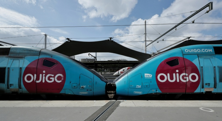 Des TGV Ouigode la SNCF à la gare de Lyon à Paris, le 24 avril 2025 ( AFP / STEPHANE DE SAKUTIN )