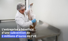 Une start-up belge transforme les champignons en emballages durables