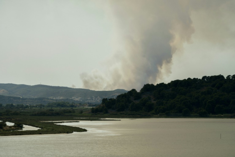 De la fumée visible sur le massif des Corbières lors d'un incendie, le 29 juin 2025, à Bizanet, dans l'Aude ( AFP / IDRISS BIGOU-GILLES )