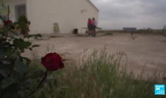 Espagne : les fermiers andalous luttent contre les parcs solaires