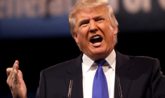 Donald Trump - Crédit : Gage Skidmore