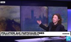 Pollution aux particules fines : les seuils d'alerte déclenchés en Europe