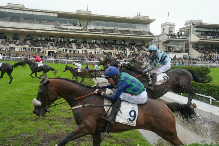Le cheval pur-sang Sel Jem, monté par le  jockey français Johnny Charron (au premier plan), remporte le Grand Steeple-Chase de Paris, le 17 mai 2026 à Auteuil ( AFP / Dimitar DILKOFF )