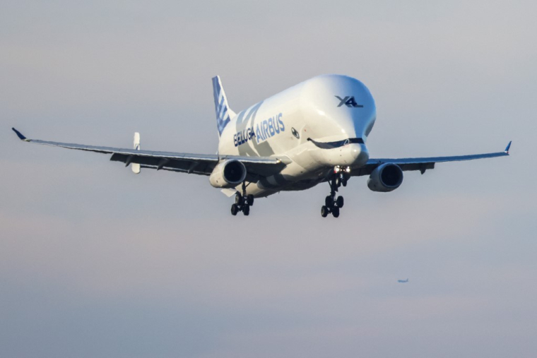 Un Airbus Beluga XL (illustration) ( AFP / CHARLY TRIBALLEAU )