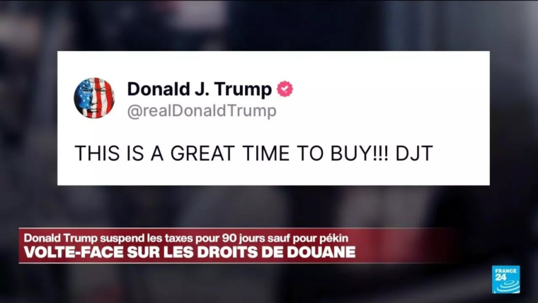 dt-expert