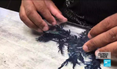 Covid-19 : la Guyane reconfinée après une hausse des contaminations