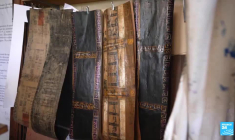 Le Paris des Arts, émission spéciale en Martinique