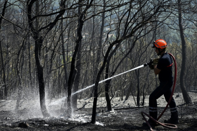 Un pompier arrose une zone brûlée à Cotignac, dans le Var, le 24 juillet 2026 ( AFP / Frederic DIDES )