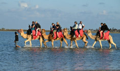 Des touristes français en séjour à Djerba en Tunisie, le 2 mai 2026. ( AFP / FETHI BELAID )