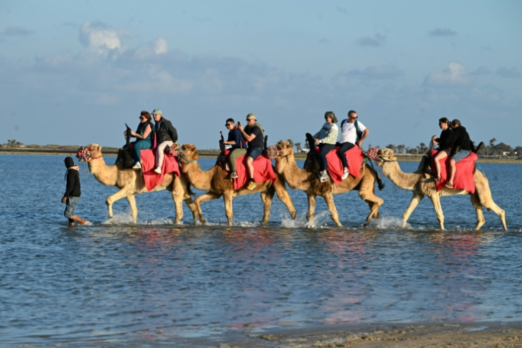 Des touristes français à dos de chameaux lors d'un séjour à Djerba, en Tunisie, le 2 mai 2026 ( AFP / FETHI BELAID )
