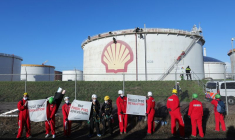 MANIFESTATIONS POUR LA DÉFENSE DE L'ENVIRONNEMENT À LONDRES ET ROTTERDAM