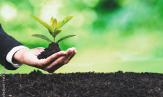 (Crédits photo : Adobe Stock - homme plaçant son argent en faveur d'une finance durable, respectueuse de la planète