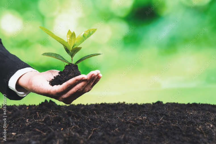 (Crédits photo : Adobe Stock - homme plaçant son argent en faveur d'une finance durable, respectueuse de la planète