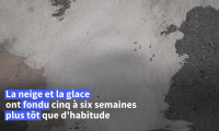 Canicule: dans les Alpes, l'eau et la neige manquent déjà