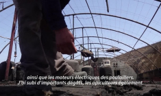 Algérie: "J'ai subi d'importants dégâts", la détresse des sinistrés face aux incendies