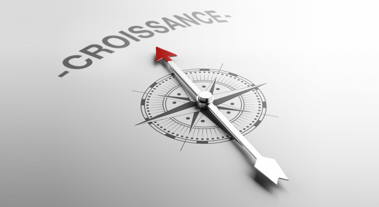 La sélection du Revenu de six valeurs de croissance. (© Adobestock)