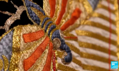 Yoshiki, kabuki, hikikomori... Le meilleur de la culture japonaise est dans A l'Affiche!