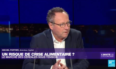 Cours des céréales : "Les émeutes de la faim pourraient revenir"