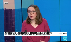 Grande muraille verte en Afrique : 14 milliards de dollars pour l’environnement et l’emploi
