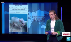 Fin de l'illusion de Dubaï : "La capitale du capitalisme s’est réveillée d’un rêve insensé"