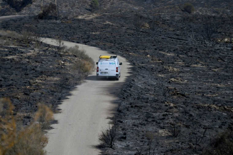 Une voiture roule dans un paysage calciné après un incendie de forêt ayant fait au moins 12 morts, à Bedar, près d'Almería, le 11 juillet 2026 ( AFP / JOSE JORDAN )