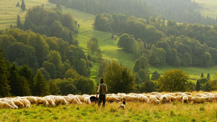 (Crédits photo : Unsplash - Biegun Wschodni )