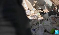 Turquie, l’impossible deuil : de nombreuses victimes du séisme toujours manquantes